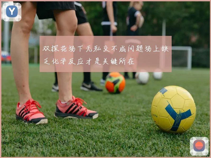 双探花场下无私交不成问题场上缺乏化学反应才是关键所在