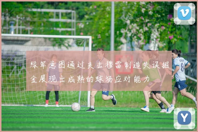 绿军意图通过夹击穆雷制造失误掘金展现出成熟的球场应对能力