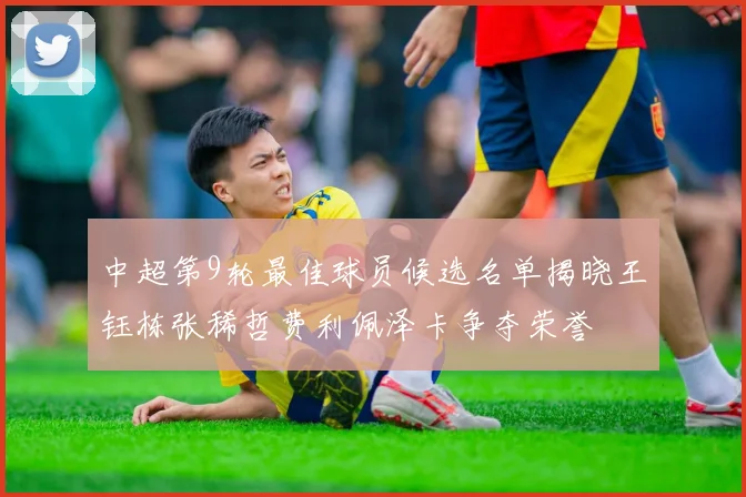 中超第9轮最佳球员候选名单揭晓王钰栋张稀哲费利佩泽卡争夺荣誉
